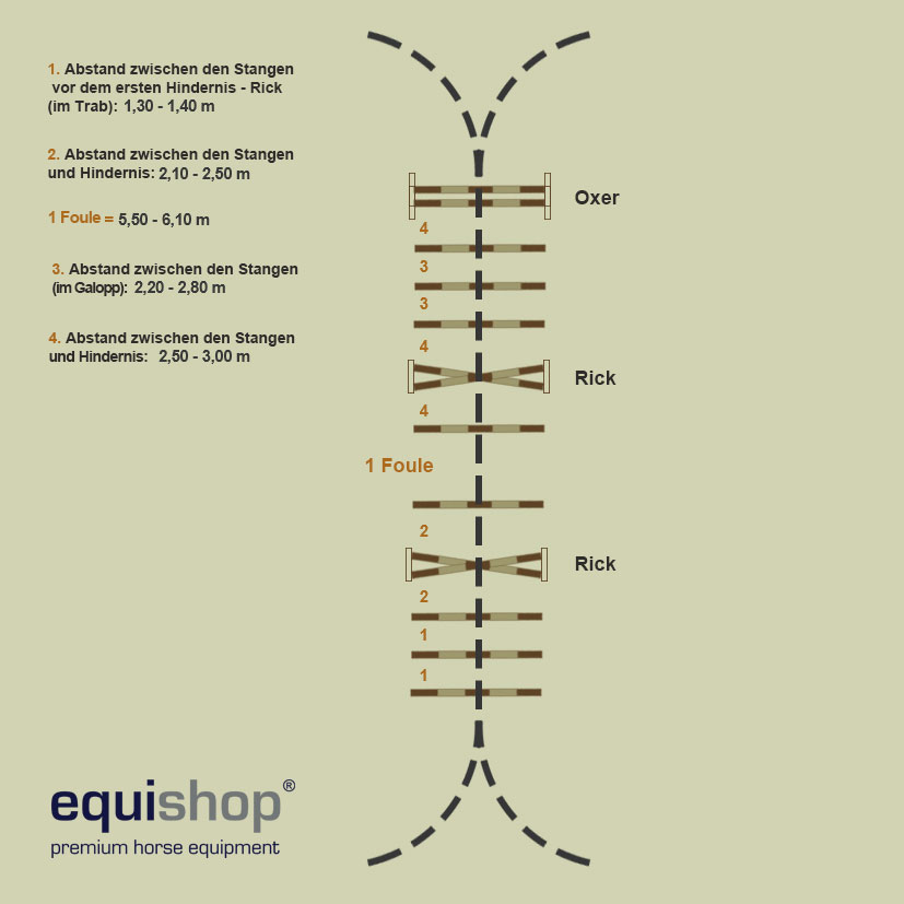 szereg-z-drągami-pomiędzy-przeszkodami1GER